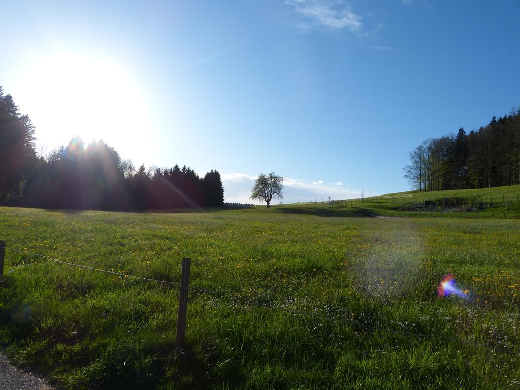 Landgasthof Santisblick Hotel Abtwil Eksteriør billede